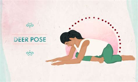 8 Seated Yoga Poses for Flexibility – Step by Step Guide - Human Change World