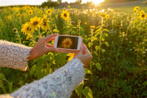 Ideas and Tips for Garden Photography | Frames Express Blog