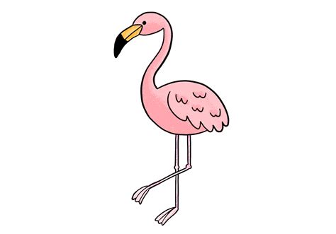 How to Draw a Flamingo (in 4 Steps!) | Design Bundles