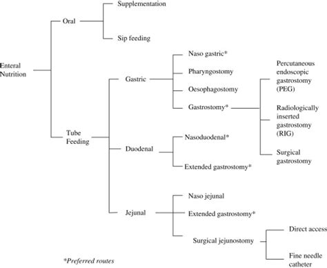 Basics in clinical nutrition: Enteral nutrition - European e-Journal of Clinical Nutrition and ...