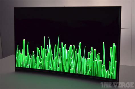 Samsung curved OLED TV photos - The Verge