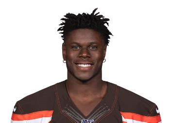 David Njoku Stats Fantasy Ranking - PlayerProfiler