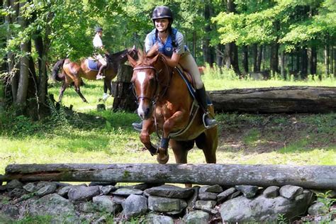 7 Best Horseback Riding Summer Camps In 2024 - Summer Camp Hub