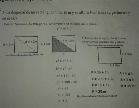 Como Hallar El Area De Un Rectangulo Ejemplos - Opciones de Ejemplo