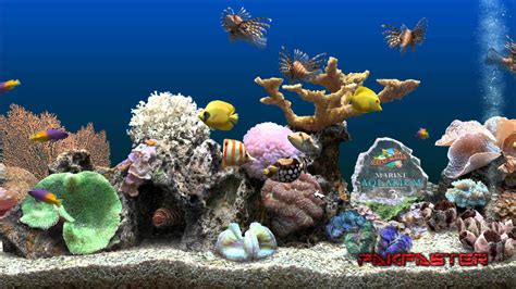 Coral Aquarium, Marine Aquarium, Aquarium Fish Tank, Saltwater Aquarium ...