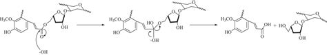 Extraction and modification of hemicellulose from lignocellulosic biomass: A review