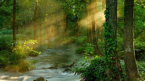 HD wallpaper: Forest Sunbeams, asia, natural world, water, ethereal, beauty | Wallpaper Flare