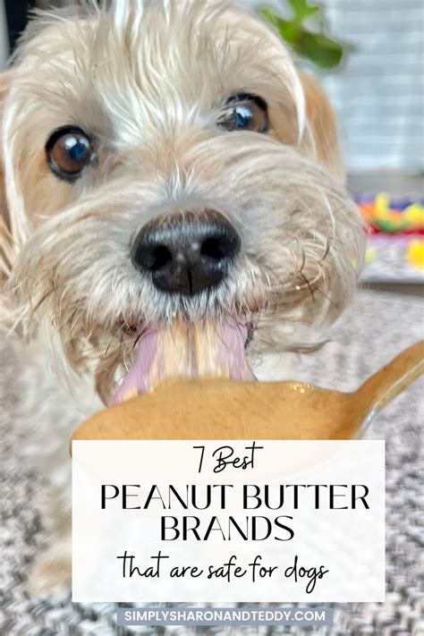 a white dog holding a wooden spoon with the words, best peanut butter brands that are safe for dogs