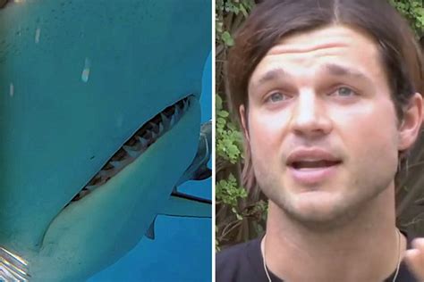 'Shark attack victim' speaks out about what REALLY happened to him (Video) | Human Impact ...