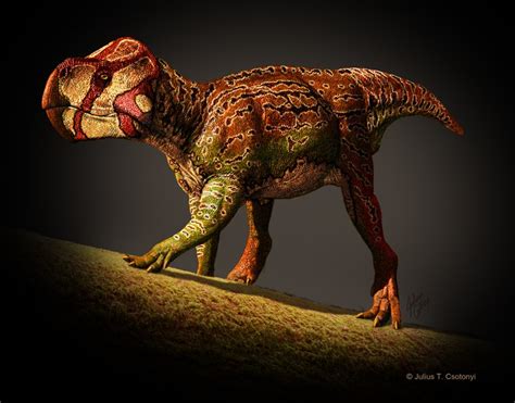 Fossils Identified of Two New Herbivorous Horned Dinosaurs (PHOTOS ...