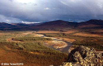 Boreal Forest in Alaska, Alaska Department of Fish and Game