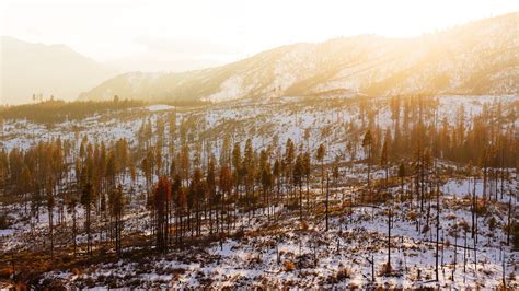 Yosemite National Park Winter Scenery Wallpapers - Wallpaper Cave