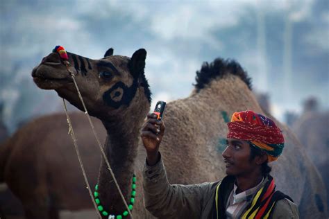 Pushkar Camel Fair Picture | Pushkar Camel Fair - ABC News