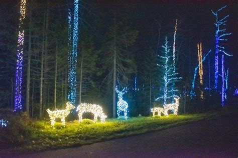 Gardens Aglow | Coastal Maine Botanical Gardens