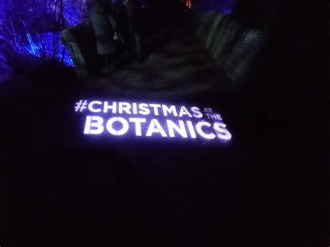 Christmas at the Botanics - Edinburgh Collected