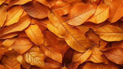 Premium AI Image | A close up of autumn leaves