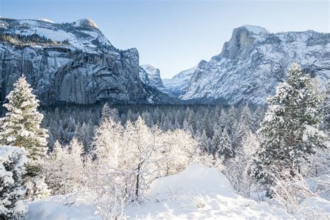 A 10 minute scurry up the backside of my cabin, and a beautiful late winter in Yosemite National ...