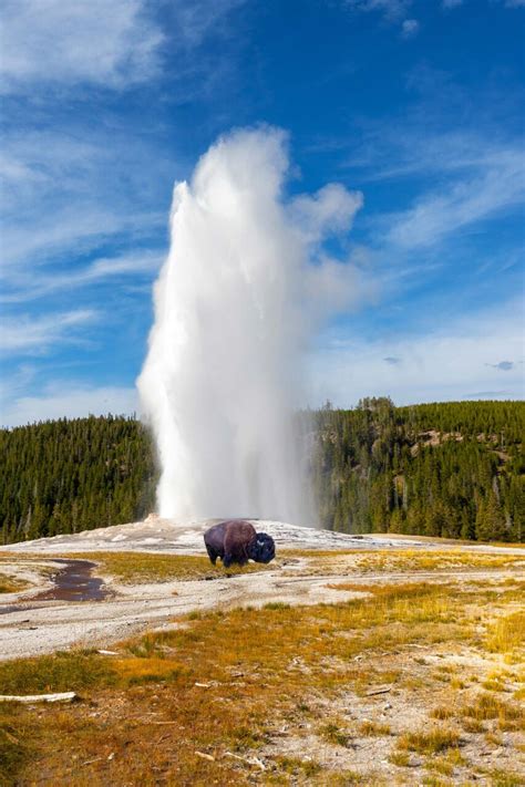 5 Best National Parks to See in Wyoming | Mountain Modern