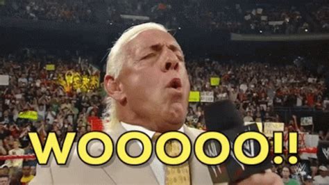 Ric Flair Wwe GIF - RicFlair Wwe Wrestling - Discover & Share GIFs