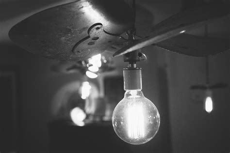 Free stock photo of black-and-white, idea, light bulb