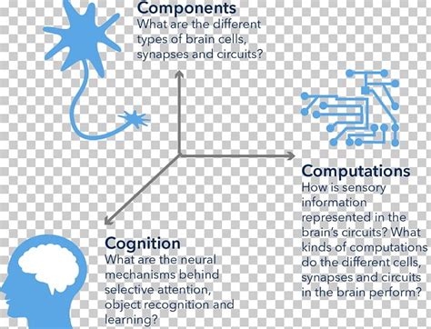 Allen Institute For Brain Science Technology Research Cognitive Science ...