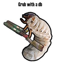 Rust I hate grubs - Rust Community