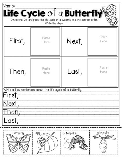 10+ Life Cycle Of A Butterfly Preschool Worksheet | First grade science, Kindergarten science ...