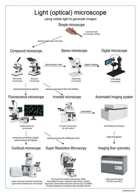 Different types of Microscopes – light microscope, electron microscope, scanning probe ...