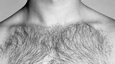 Top five chest hair styles | Men chest hair, Hair patterns, Hair styles