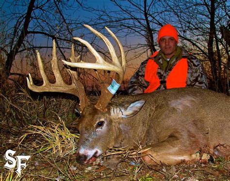 whitetail-buck-trophy-7-2012 | South Fork Outfitting | Illinois Whitetail Deer Hunting