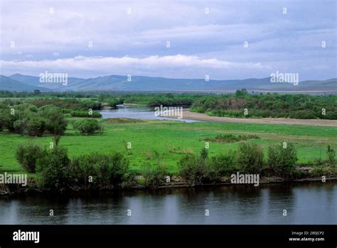 Russian river shilka hi-res stock photography and images - Alamy