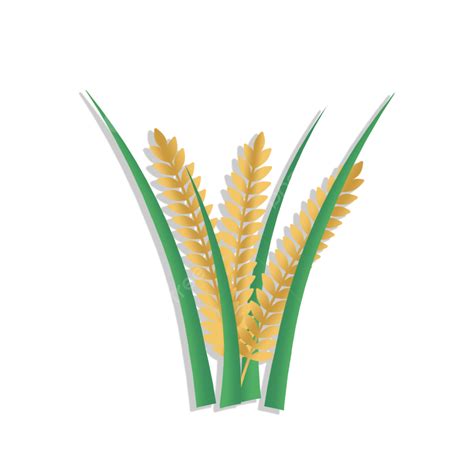 Rice Plant PNG Transparent, Rice Plant Icon, Cereal Plant, Plant, White ...