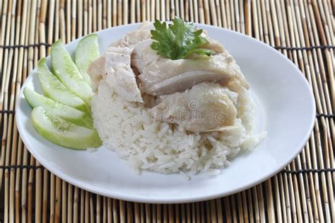 Steam chicken with rice stock image. Image of cucumberasia - 40044019