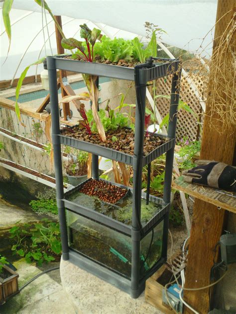 Shelfponics | Backyard aquaponics, Indoor aquaponics, Aquaponics diy