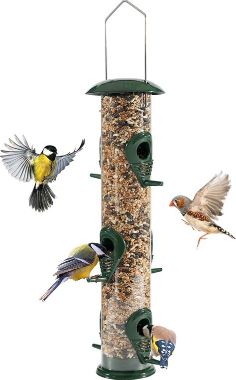 18+ Different Types of Bird Feeders: What Works for You?