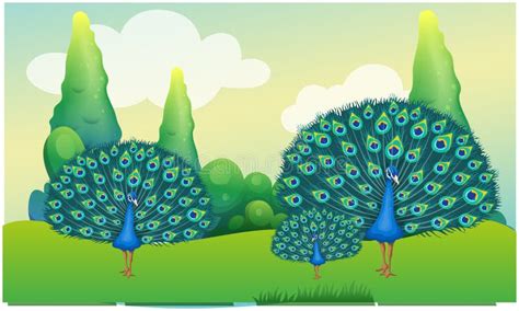 Peacock Family is Dancing in the Garden Stock Vector - Illustration of ...