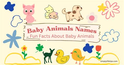 Baby Animals Names | Fun Facts About Baby Animals For Kids