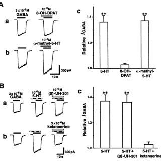 Actions of serotonin (5-HT) receptor agonists and antagonists on 5-HT... | Download Scientific ...