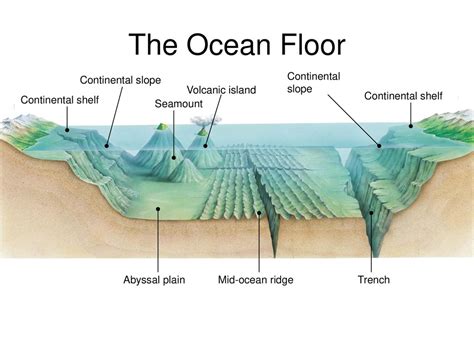 Oceanography - ESTEAM Learning Labs