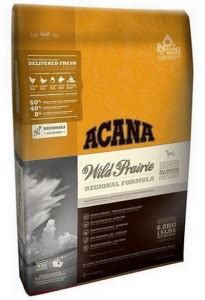 Ten Best Grain Free Dog Food Brands - Top Dog Tips