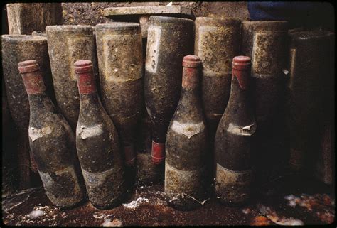 Red Wine Bottles, Covered With Mold by James L. Stanfield