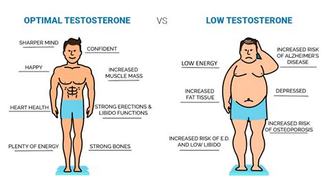 Testosterone and Weight Loss: Is There a Link?