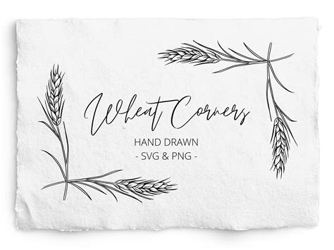 Wheat Drawing, Download File, Instant Download, Drawing Frames, Confirmation Page, Chalk Art ...