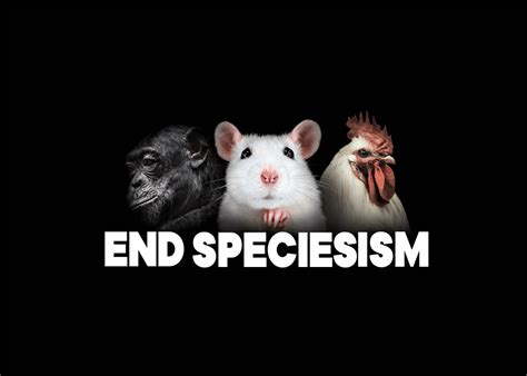 World Animal Day: The Declaration of Animal Exploitation | PETA