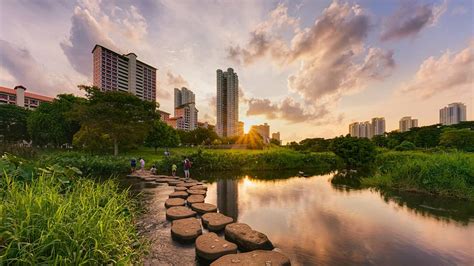 Bishan-Ang Mo Kio Park: Serene Oasis In The Heartlands