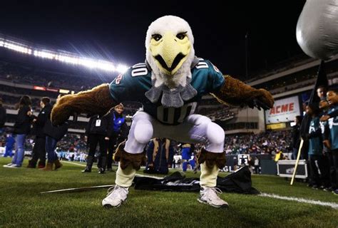 Philadelphia EAGLES Mascot Go Eagles, Fly Eagles Fly, Eagles Fans, Philadelphia Eagles Super ...