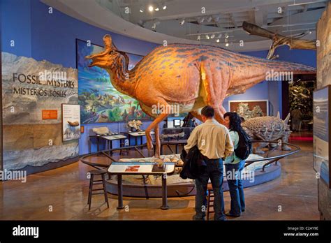 San Diego Natural History museum Duck billed dinosaur Stock Photo - Alamy