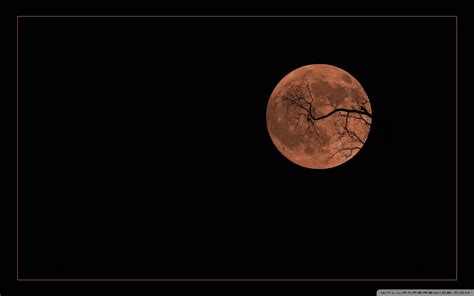 Halloween Moon Wallpapers - Top Free Halloween Moon Backgrounds - WallpaperAccess