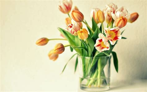 Tulips Vase wallpaper | 1680x1050 | #23669