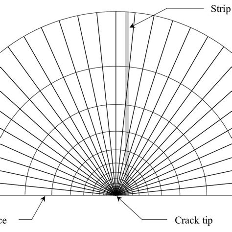 Schematic of the used finite element mesh | Download Scientific Diagram